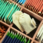 ¿Conoces las diferencias entre los distintos tipos de té?
