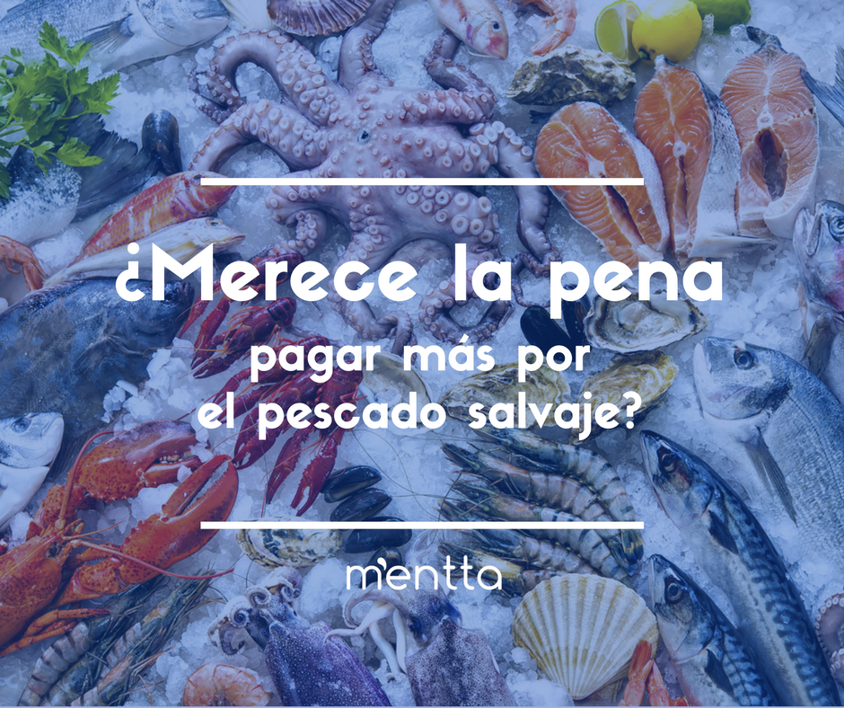 ¿Merece la pena pagar más por un pescado salvaje?