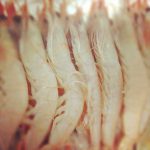 La Despensa del Mar: el paraíso donde encontrar la mejor gamba blanca de Huelva