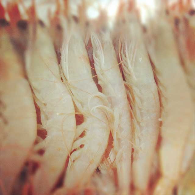 La Despensa del Mar: el paraíso donde encontrar la mejor gamba blanca de Huelva