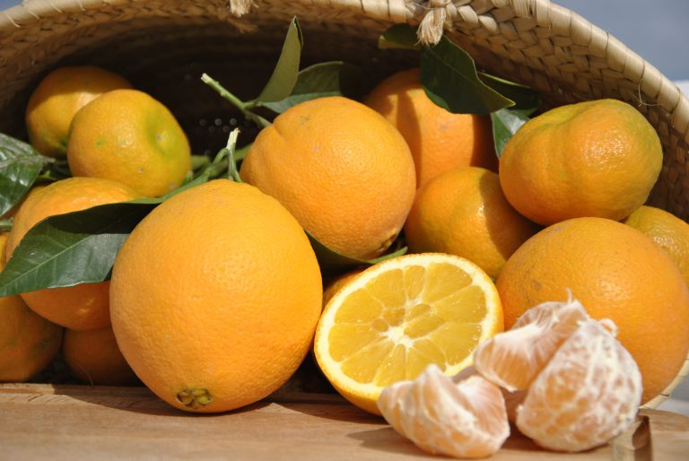 Naranjas Costa del Sol: un reconocimiento a la huerta andaluza