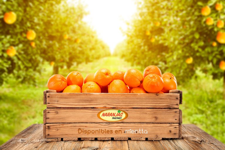 ¡Naranjas Tavernes te trae a casa irresistibles cajas de naranjas de Valencia!