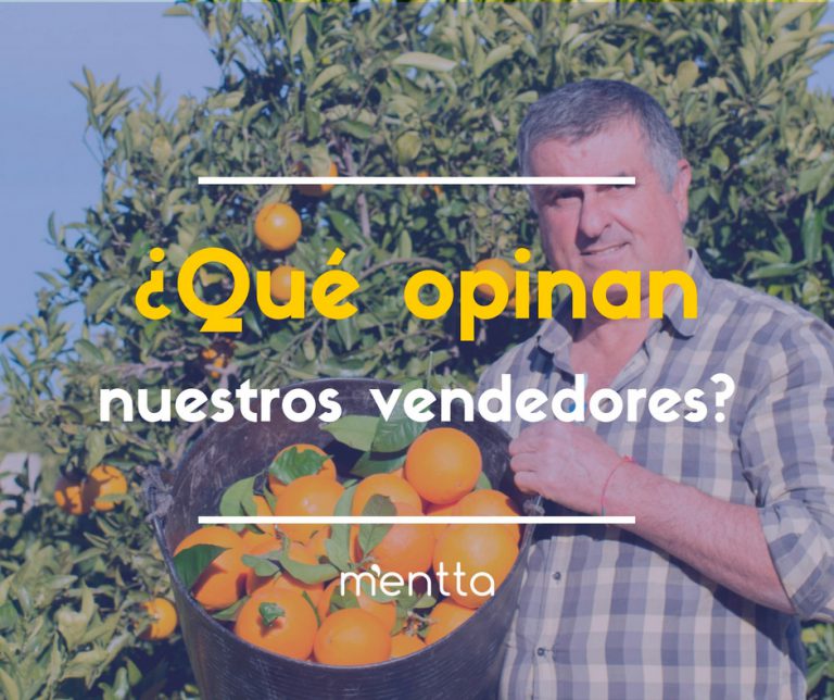 ¿Qué opinan los que venden comida en mentta?