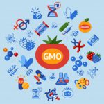 La polémica de los alimentos transgénicos