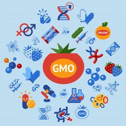 La polémica de los alimentos transgénicos