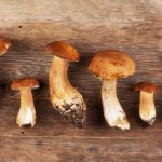 La guía definitiva para la temporada de setas 2020