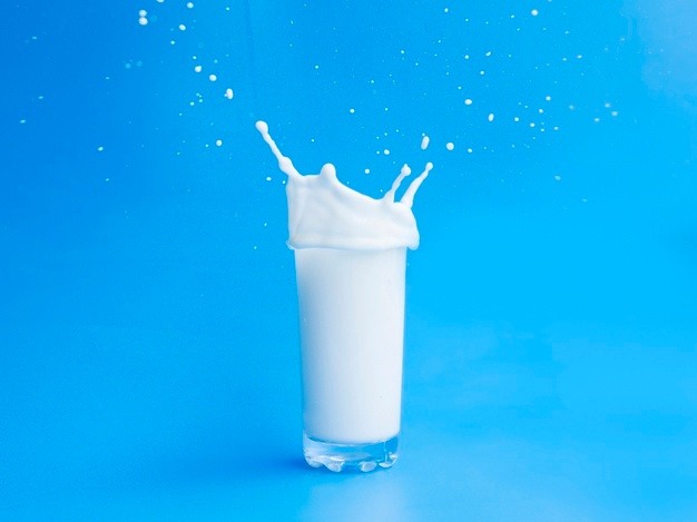 Conoce todos los tipos de leche
