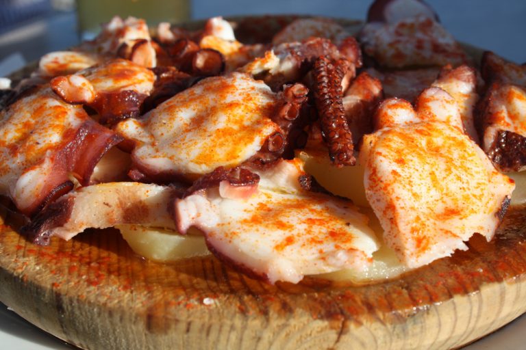 ¿Cómo cocinar el pulpo? Recetas y consejos