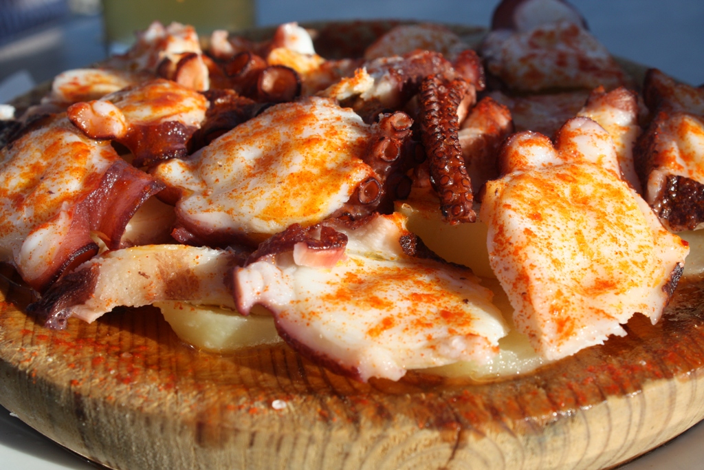 ¿Cómo cocinar el pulpo? Recetas y consejos