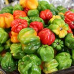 Productos ecológicos o BIO, ¿por qué escogerlos?