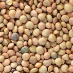 Recetas con lentejas, ¿por qué son tan buenas?