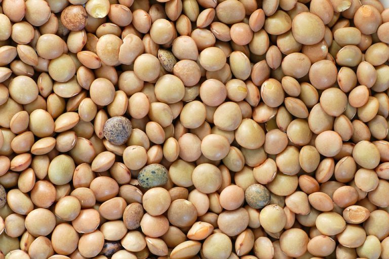 Recetas con lentejas, ¿por qué son tan buenas?