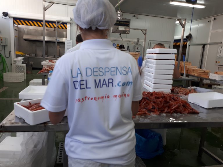 Compra pescado y marisco fresco para tus cenas navideñas. Entrevista a La Despensa del Mar