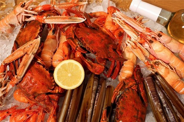 ¿Cuáles son los principales tipos de marisco?