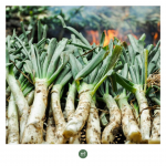 Las cinco verduras de temporada más ricas y beneficiosas