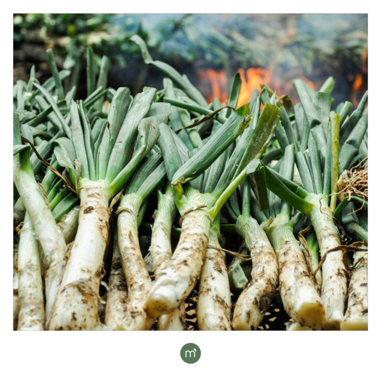 Las cinco verduras de temporada más ricas y beneficiosas