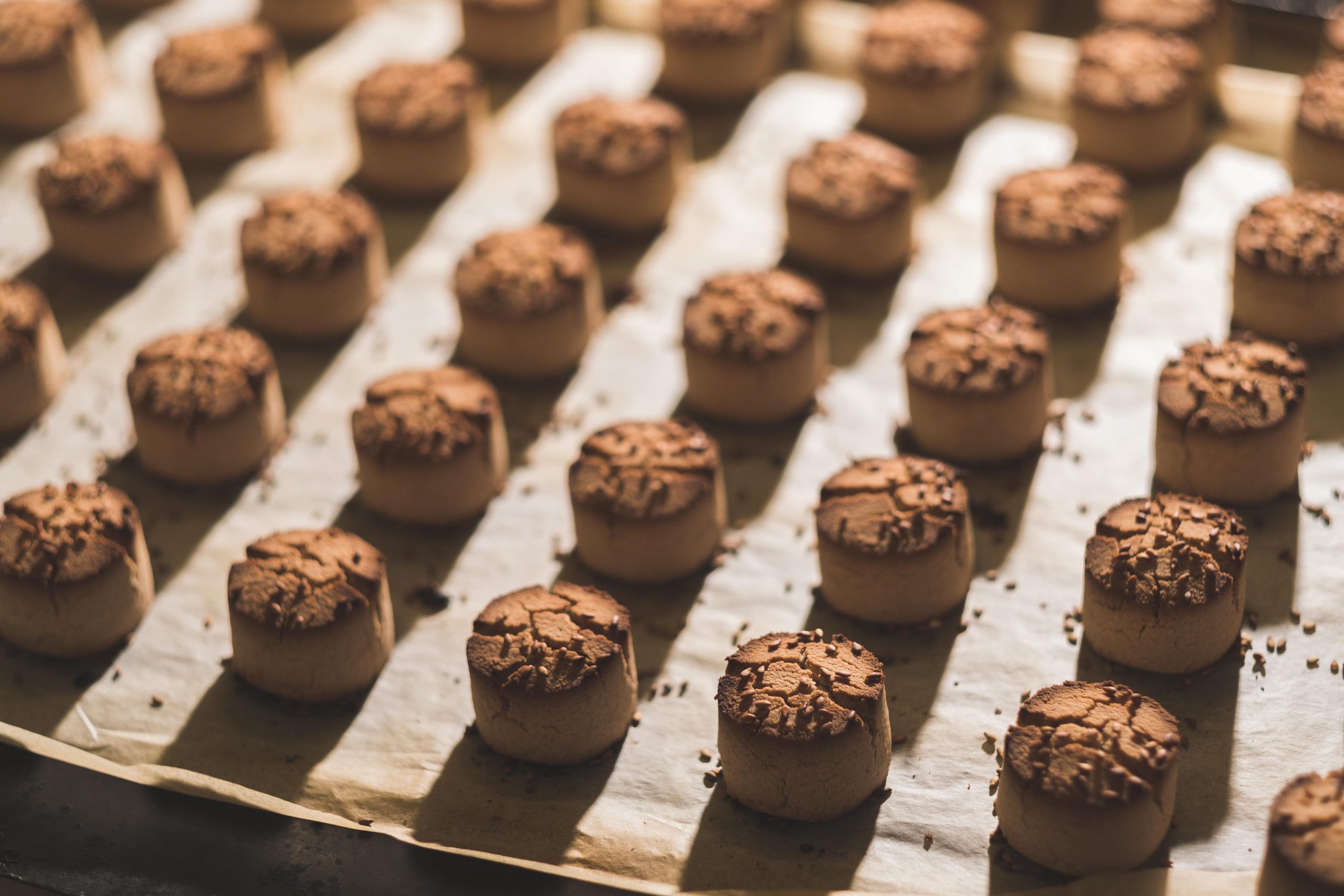 ▷ Entrevista a El Mesías: la auténtica tradición de Navidad