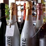 Entrevista a Vino Premier: la mayor variedad de vino