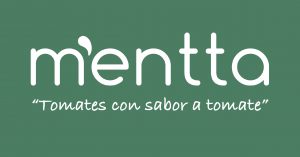 ¿Qué es un Marketplace? ¿Y por qué mentta?