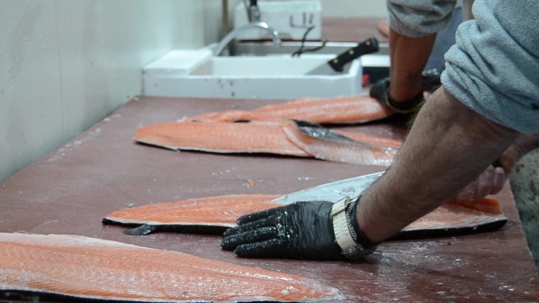 mentta: productos frescos a precios competitivos