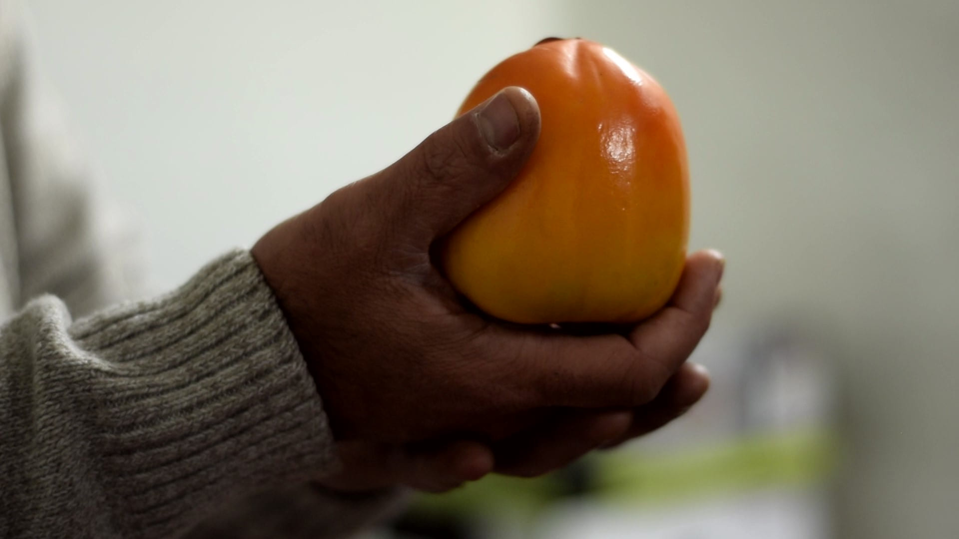 Entrevista a La Vega y el Hortelano