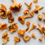 Les 10 types de champignons plus connus