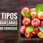 13 types of apples you didn’t know about