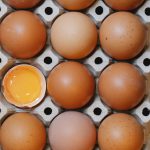 Salmonelosis: qué es y cómo detectarla