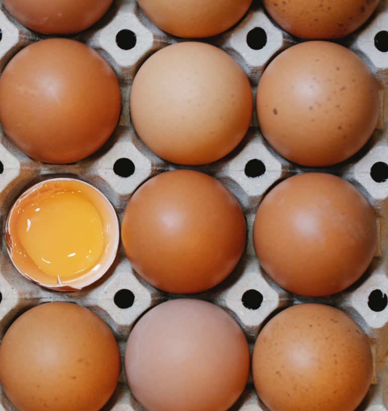 Salmonelosis: qué es y cómo detectarla