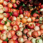 13 variétés de pommes que vous ne connaissiez pas