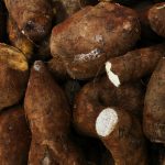 ¿Diferencias entre yuca y ñame? Toma nota