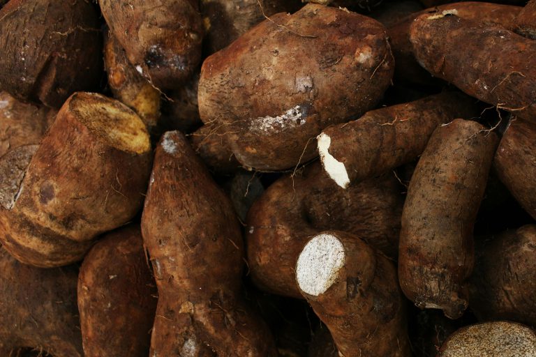 Differences between cassava and yams? Take note.