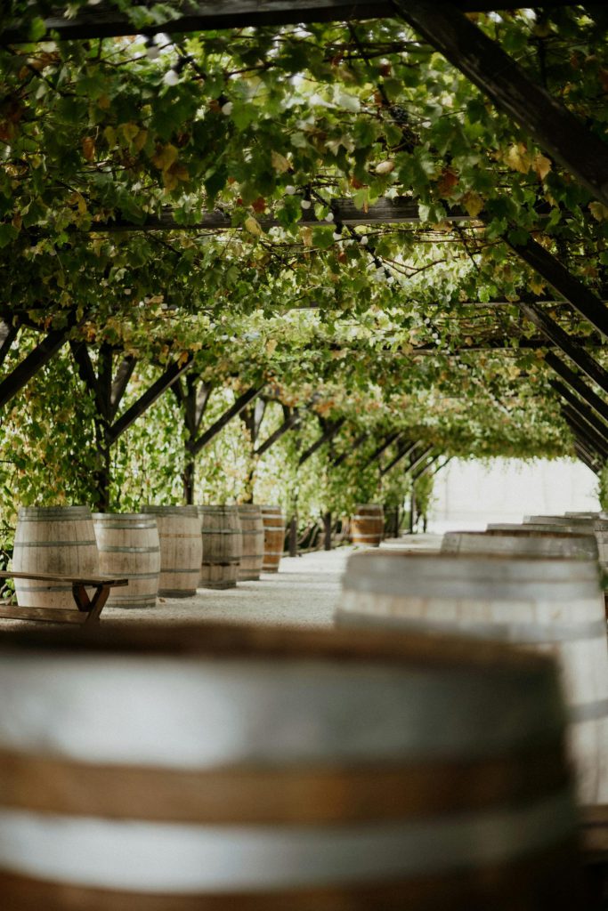 The oldest Spanish wineries: the country’s wine culture