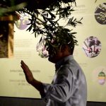 Finca La Pontezuela: pasión por el AOVE y tradición