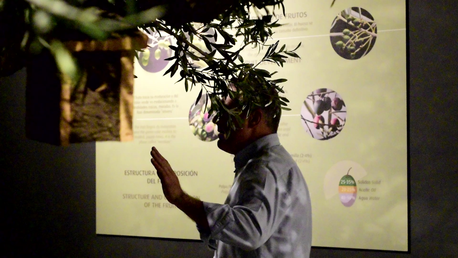 Finca La Pontezuela: pasión por el AOVE y tradición