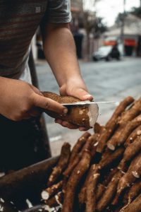 Can you eat raw cassava? risks and how to consume it safely
