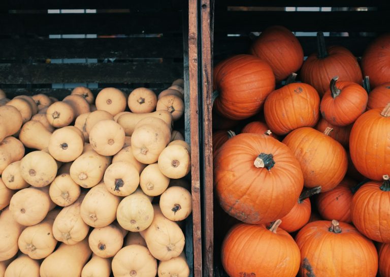 Autumn fruits and vegetables: what to eat as the countryside changes colour