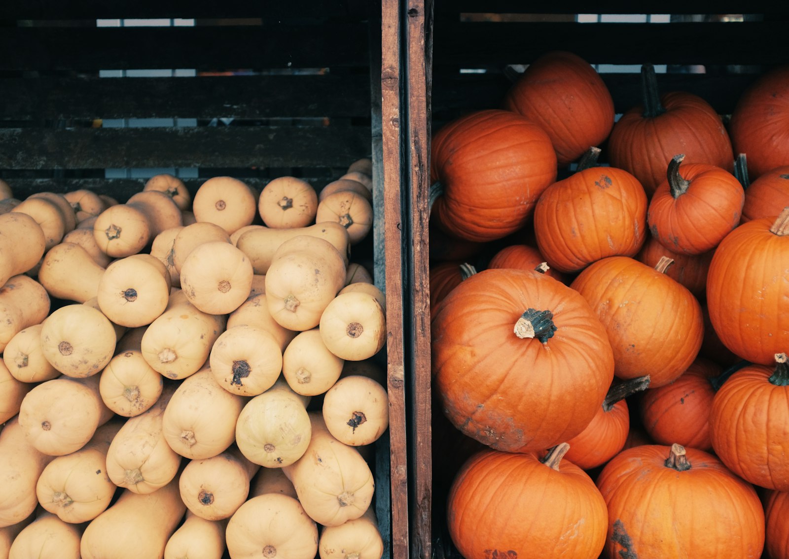Frutas y verduras de otoño: qué comer ahora que el campo cambia de color